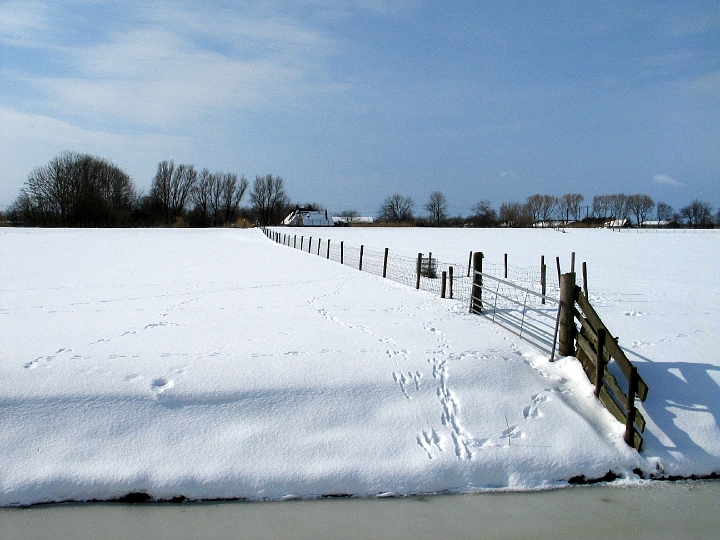 IMG_6949.jpg