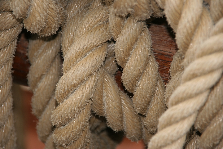 IMG_8297.JPG