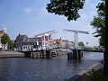 IMGP0375