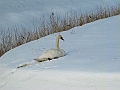 IMG_6933_edited-1