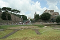 IMG_1406