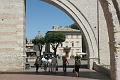 IMG_1516