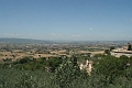 IMG_1520