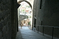 IMG_1588