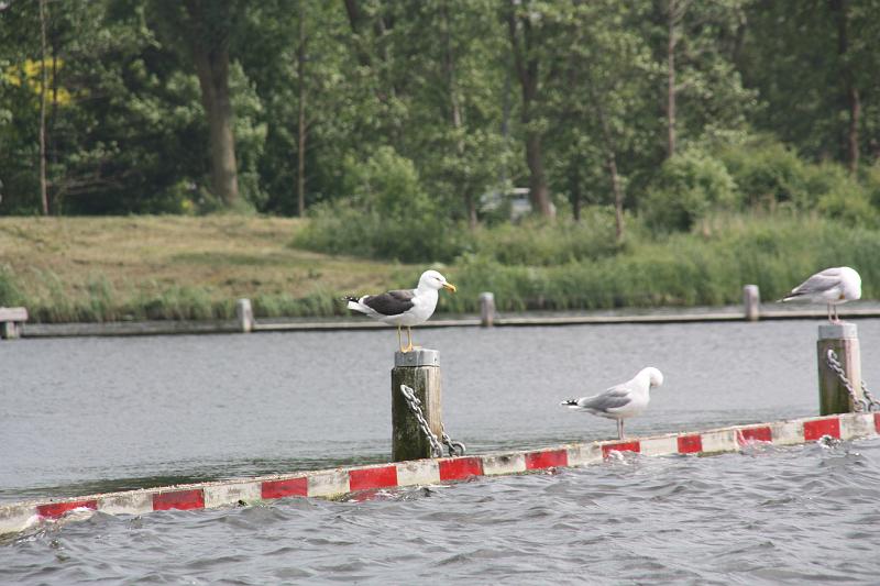 IMG_0688.JPG