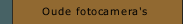 Oude fotocamera's